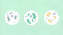 重症肺炎别漏诊！DNA+RNA 双检流程精准识别混合感染